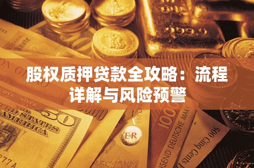 武汉股权质押贷款全攻略：流程详解与风险预警