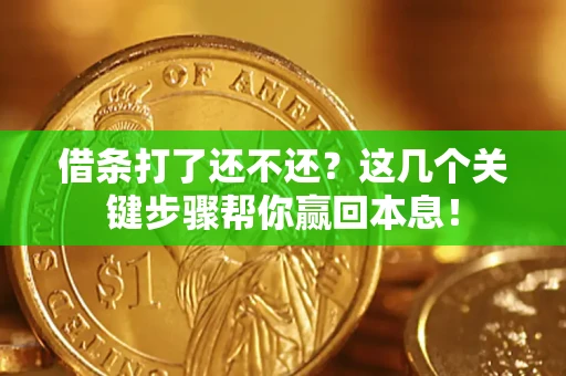 武汉借条打了还不还？这几个关键步骤帮你赢回本息！