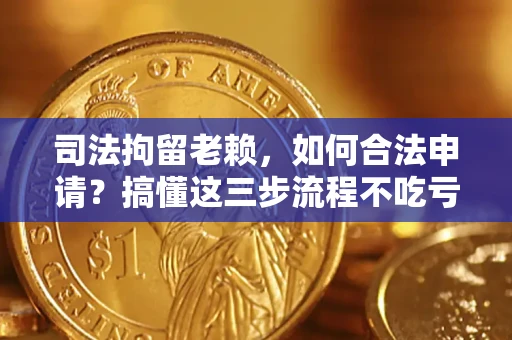 武汉司法拘留老赖，如何合法申请？搞懂这三步流程不吃亏！