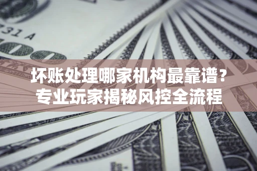 武汉坏账处理哪家机构最靠谱？专业玩家揭秘风控全流程