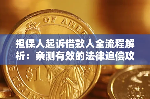 武汉担保人起诉借款人全流程解析：亲测有效的法律追偿攻略