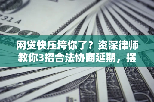 武汉网贷快压垮你了？资深律师教你3招合法协商延期，摆脱暴力催收！