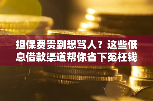 武汉担保费贵到想骂人？这些低息借款渠道帮你省下冤枉钱