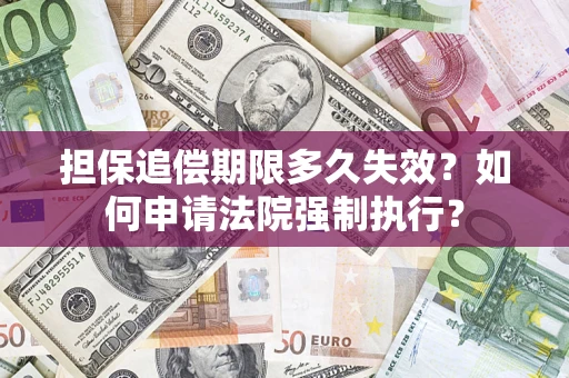 武汉担保追偿期限多久失效？如何申请法院强制执行？
