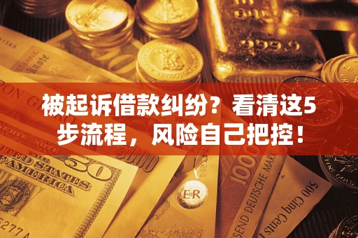 武汉被起诉借款纠纷？看清这5步流程，风险自己把控！