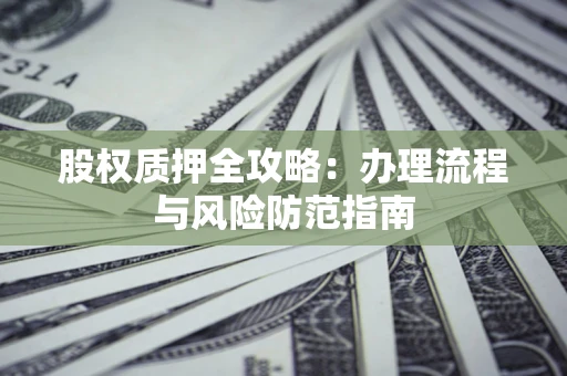 武汉股权质押全攻略：办理流程与风险防范指南