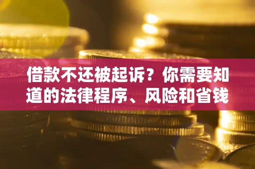 武汉借款不还被起诉？你需要知道的法律程序、风险和省钱技巧