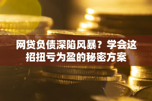 武汉网贷负债深陷风暴？学会这招扭亏为盈的秘密方案