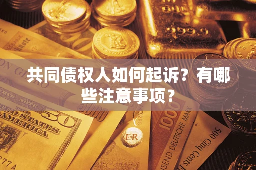 武汉共同债权人如何起诉？有哪些注意事项？